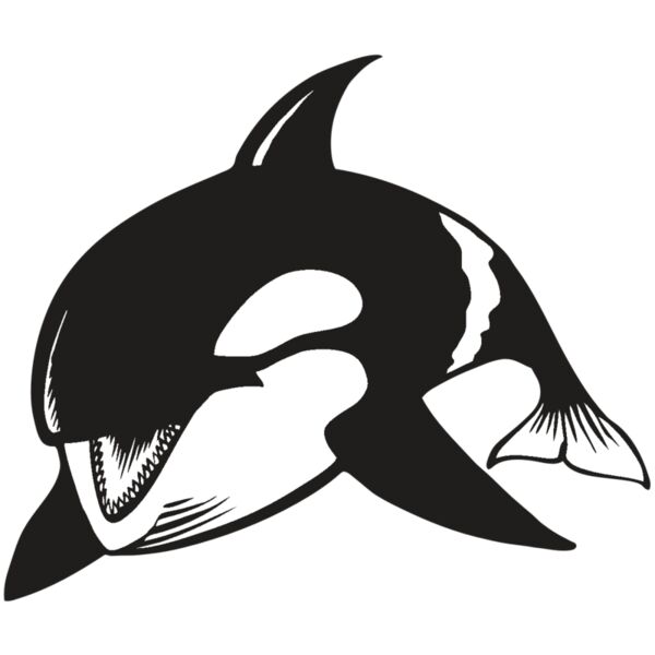 BAW KLRWHALE 04 RC Thumbnail